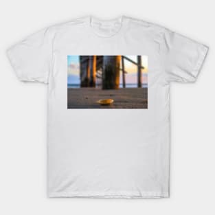 Seashells peering T-Shirt